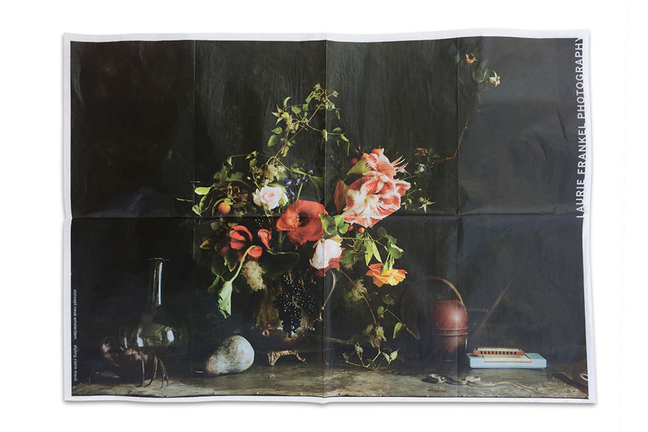 Laurie Frankel Promo