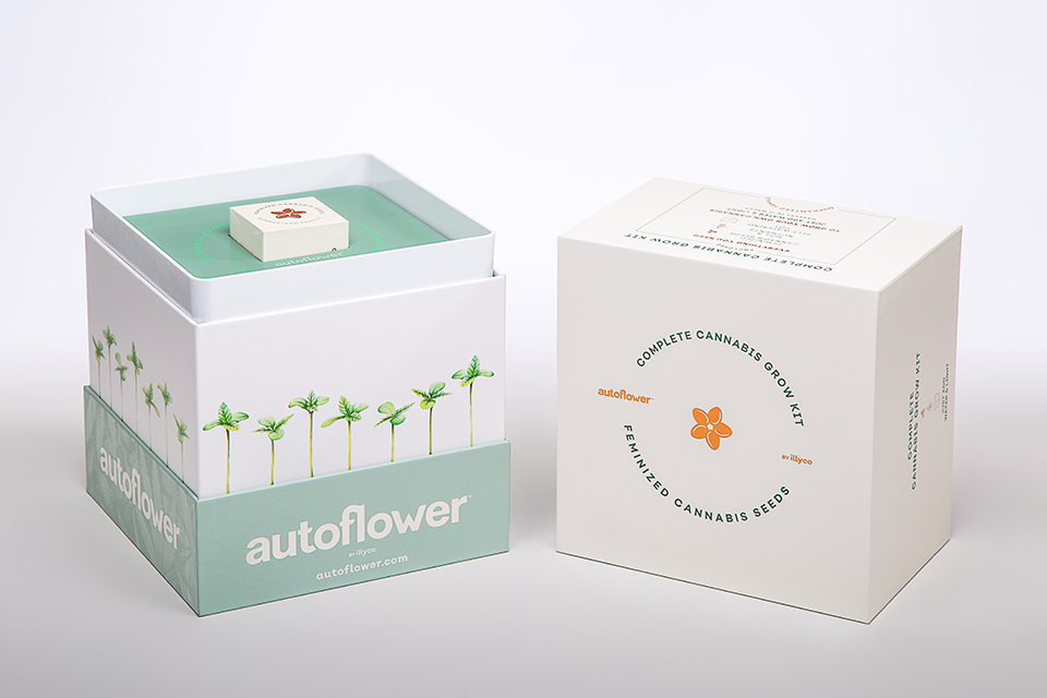 AutoFlower Grow Kit